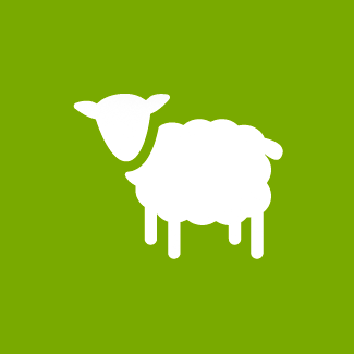 Lago y Tierra Campamento