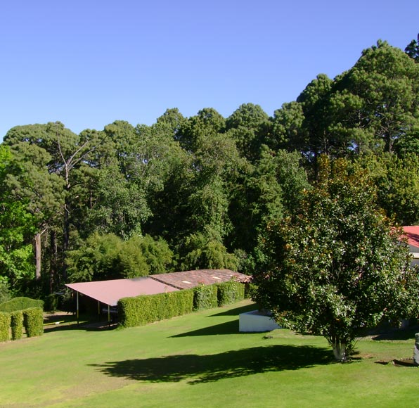 Lago y Tierra Campamento
